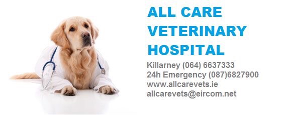 Allcare Veterinary Centre Killarney Killarney